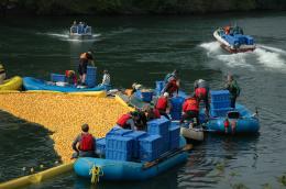 Rubber Duck Roundup 